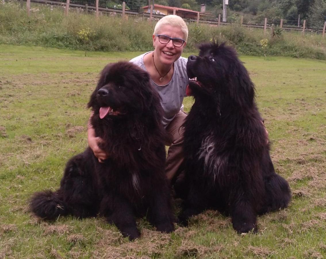 Posada Pet Friendly El Molino De Cantabria Entrambasaguas  المظهر الخارجي الصورة