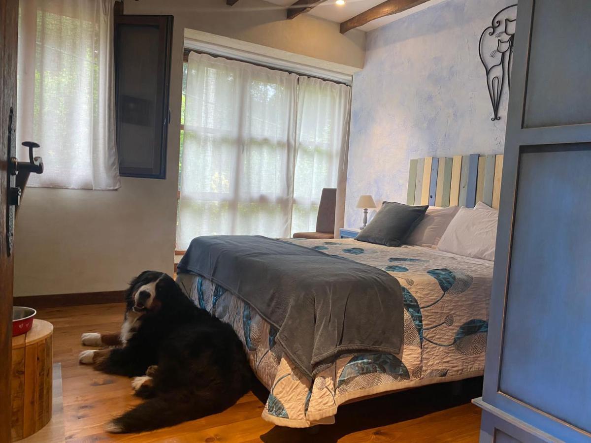 Posada Pet Friendly El Molino De Cantabria Entrambasaguas  المظهر الخارجي الصورة