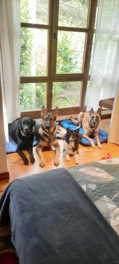 Posada Pet Friendly El Molino De Cantabria Entrambasaguas  المظهر الخارجي الصورة