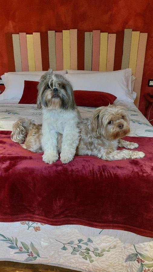 Posada Pet Friendly El Molino De Cantabria Entrambasaguas  المظهر الخارجي الصورة