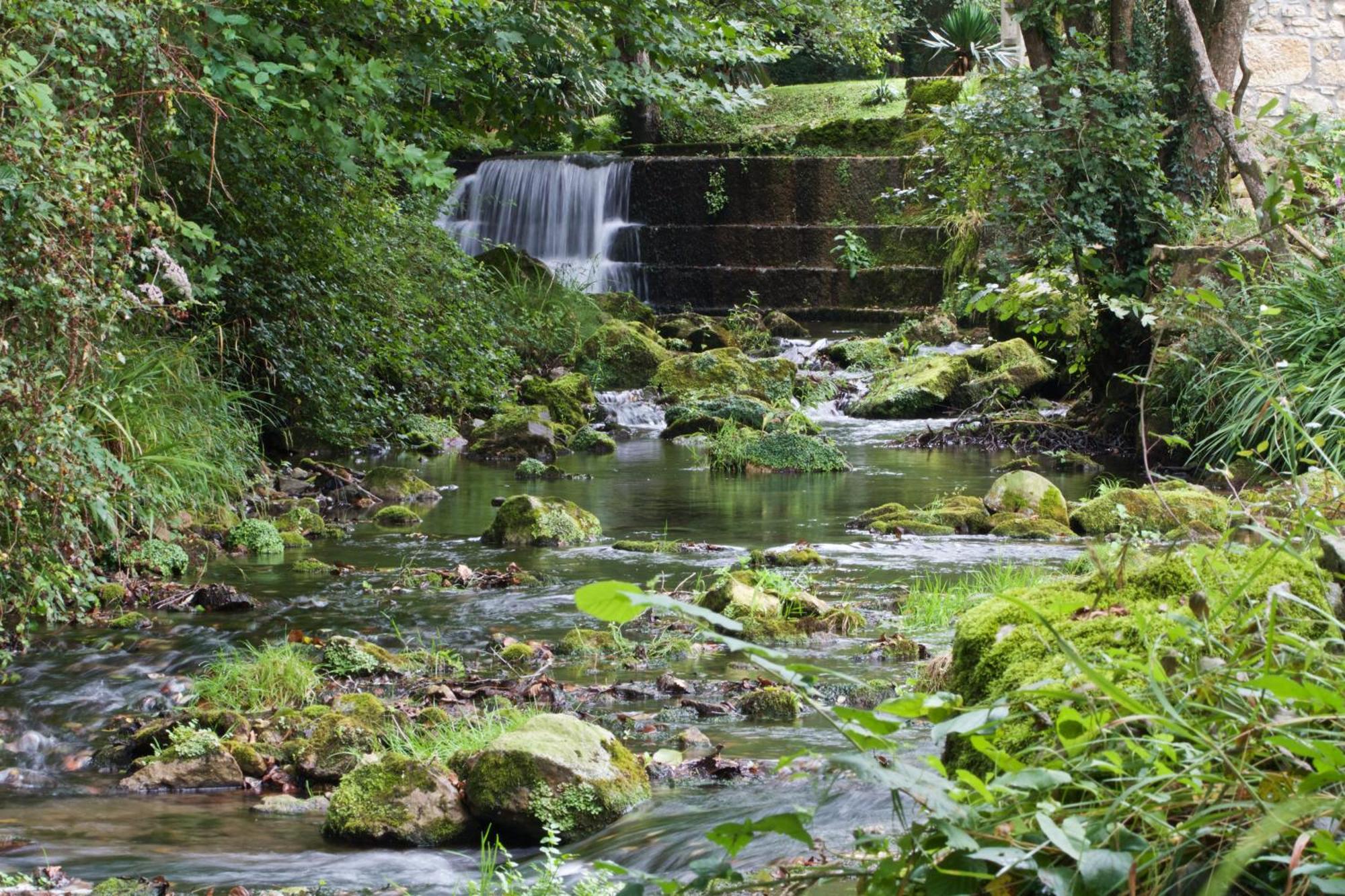 Posada Pet Friendly El Molino De Cantabria Entrambasaguas  المظهر الخارجي الصورة