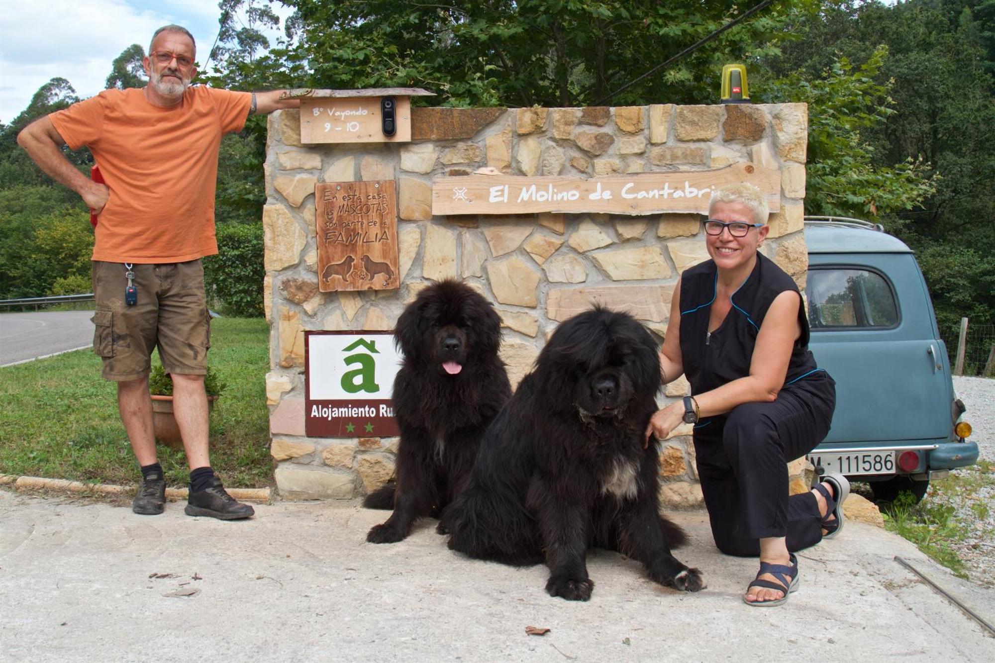 Posada Pet Friendly El Molino De Cantabria Entrambasaguas  المظهر الخارجي الصورة
