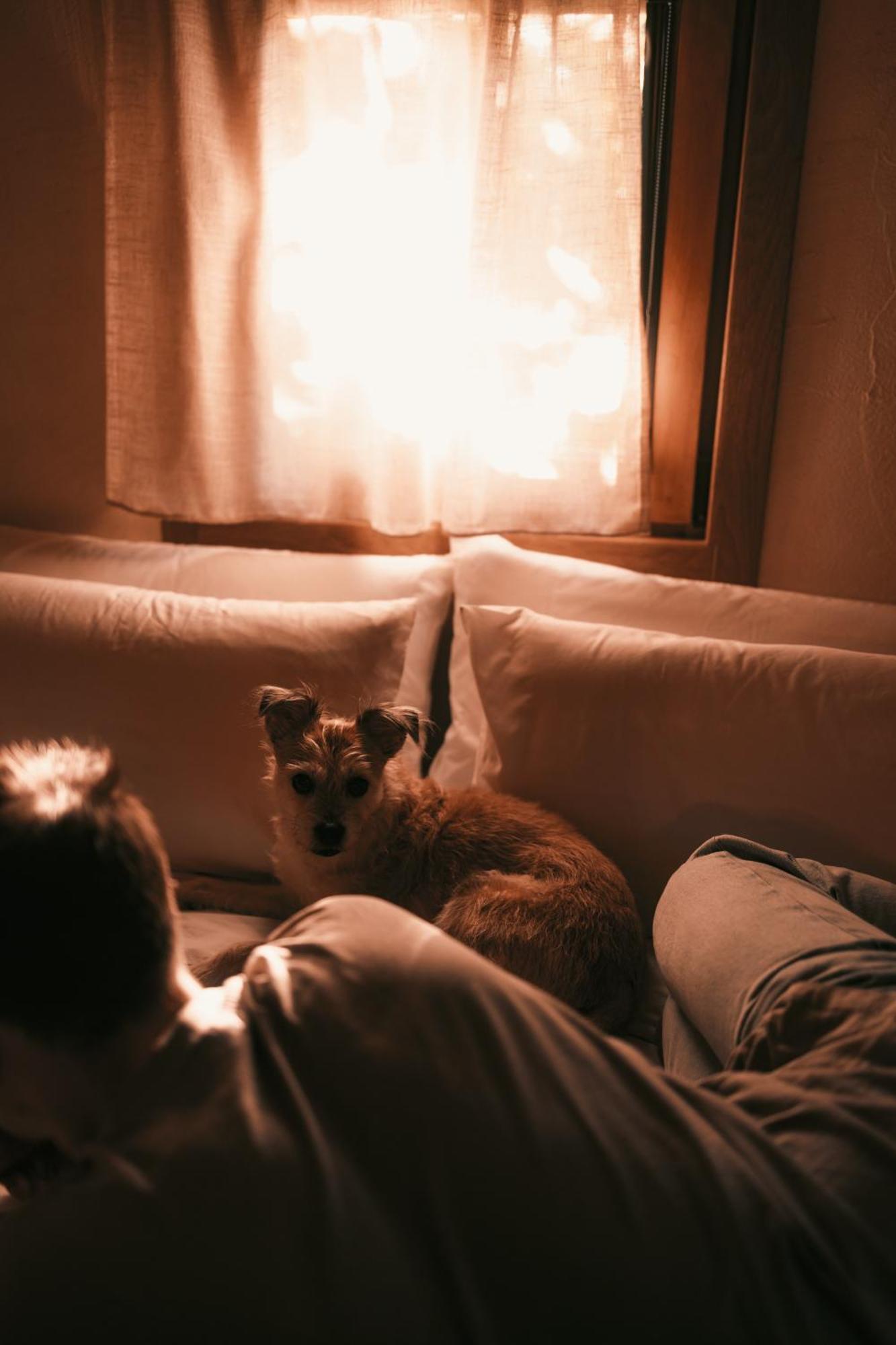Posada Pet Friendly El Molino De Cantabria Entrambasaguas  المظهر الخارجي الصورة